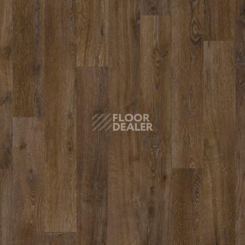 Ковролин Forbo Flotex Vision Naturals 010055 Chestnut фото 1 | FLOORDEALER